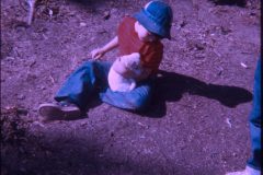 1974 07 Alaska David Scampy Puppies