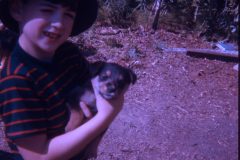 1974 07 Alaska Sam Scampy Puppies