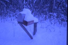 1974 11 Alaska House1