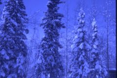 1974 11 Alaska House11