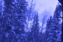 1974 11 Alaska House7