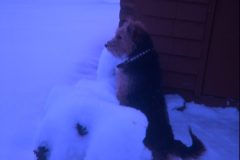 1974 11 Alaska Scampy