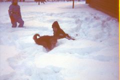 1975 01 Alaska HendersonRd. Fairbanks David Sam Scampy