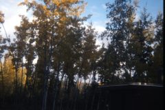 1975 Alaska HendersonRd Fairbanks House