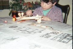 1976 02 New York HelderbergAve David3