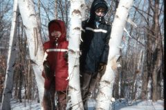 1976 02 New York RT30 Property David Sam