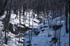 1976 02 New York RT30 Property Stream