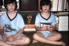 1976 04 New York HelderbergAve David Sam1