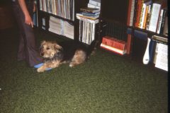 1976 04 New York HelderbergAve Scampy