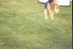 1976 07 NewYork Helderberg Ave Dad Grandma Kramer Scampy