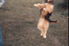 1976 07 NewYork Helderberg Ave Dad Scampy