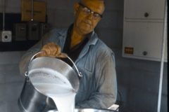 1976 07 New York Cow Farm3