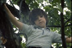 1976 07 New York HelderbergAve David2