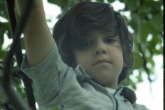 1976 07 New York HelderbergAve David3