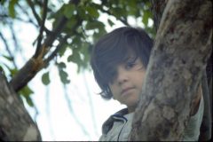 1976 07 New York HelderbergAve David4