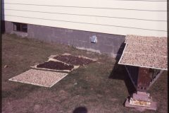 1977 07 NewYork Helderberg Ave Nuts